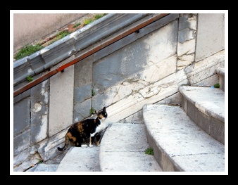 [Click to enlarge image]